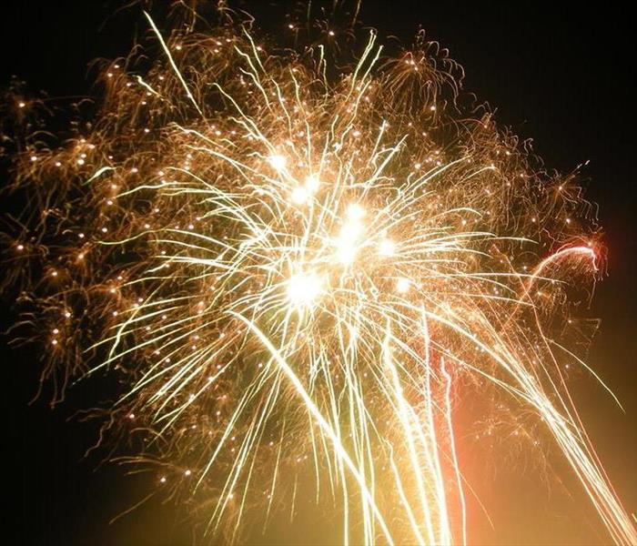 Fireworks bursting in the night sky